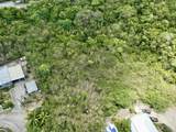 112 & 113 V.I. Corp Lands Pr - Photo 5