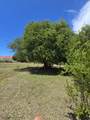 1081 William's De Pr - Photo 74