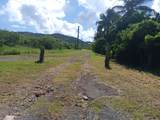 154-B Green Cay Ea - Photo 3