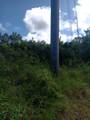 154-B Green Cay Ea - Photo 6