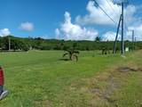 154-B Green Cay Ea - Photo 9