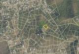 176 Union & Mt. Wash Ea - Photo 10