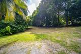 196 Clifton Hill Ki - Photo 35