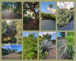 5D Teagues Bay Eb - Photo 48