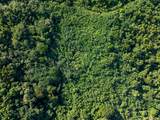 50 Beeston Hill Co - Photo 8