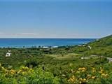 60 Grapetree Bay Eb - Photo 4