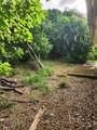 8 Eliza's Retreat Ea - Photo 25