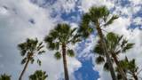34 Teagues Bay Eb - Photo 30