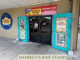 Sharkey's Mt. Welcome Ea - Photo 1