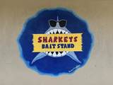 Sharkey's Mt. Welcome Ea - Photo 9