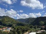000000000 Canefield Dominica - Photo 13