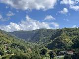 000000000 Canefield Dominica - Photo 21