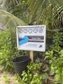 15-D Green Cay Ea - Photo 18