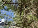 2E-50-B & Caret Bay Lns - Photo 1