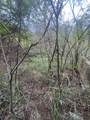 2E-50-B & Caret Bay Lns - Photo 10