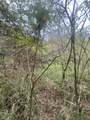 2E-50-B & Caret Bay Lns - Photo 12