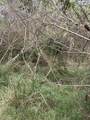 2E-50-B & Caret Bay Lns - Photo 14
