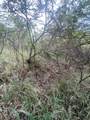 2E-50-B & Caret Bay Lns - Photo 15