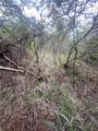2E-50-B & Caret Bay Lns - Photo 16