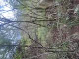 2E-50-B & Caret Bay Lns - Photo 2