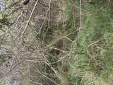 2E-50-B & Caret Bay Lns - Photo 6