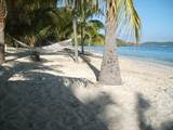 409 Teagues Bay Eb - Photo 36