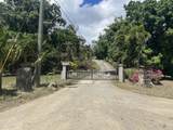 115 Little La Grange We - Photo 9