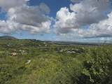 42 St. George Pr - Photo 1