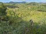 42 St. George Pr - Photo 4