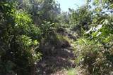 11A Lilliendal & Marienhoj Lns - Photo 5