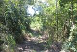 11A Lilliendal & Marienhoj Lns - Photo 8