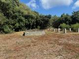 284 Cotton Valley Eb - Photo 17