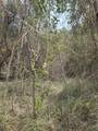 343 Hermon Hill Co - Photo 11