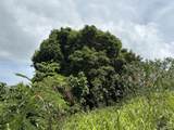 15-C Annaly Na - Photo 8