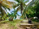 49 Rattan Qu - Photo 35