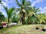 49 Rattan Qu - Photo 39