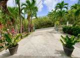 49 Rattan Qu - Photo 44
