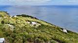 33 Caret Bay Lns - Photo 4