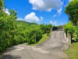 29 Orange Grove We - Photo 4