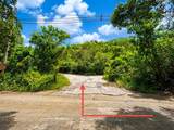 29 Orange Grove We - Photo 5