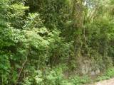 4E-4 Rattan Qu - Photo 3