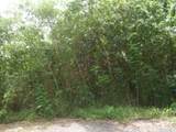 4E-4 Rattan Qu - Photo 4