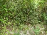 4E-4 Rattan Qu - Photo 7