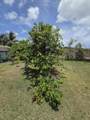 392 Strawberry Hill Qu - Photo 7