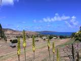 137 Teagues Bay Eb - Photo 5