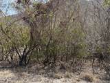 31 North Grapetree Eb - Photo 5