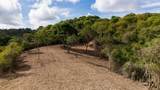 9 - K Montpellier Pr - Photo 1
