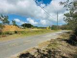 288 Enfield Green Pr - Photo 2