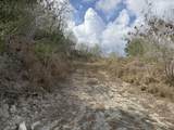 138 & 139 V.I. Corp Lands Pr - Photo 8