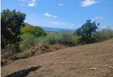 41 Seven Hills Ea - Photo 3